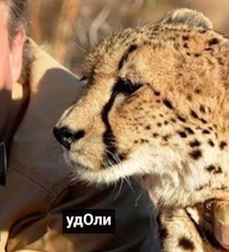 eeyapy .oopa: oxoc a eapo, xoe cea apy co. eap: pay) - 3