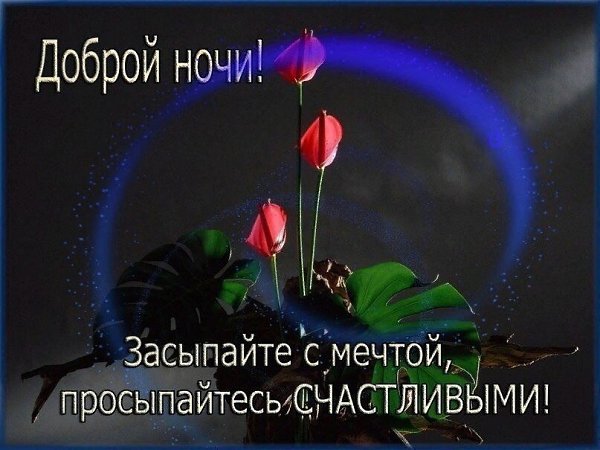 ��������� ����, ���� ����������, ���� ����� ����� � �����, ����� ������ ��� ���� ��������, ��� ...