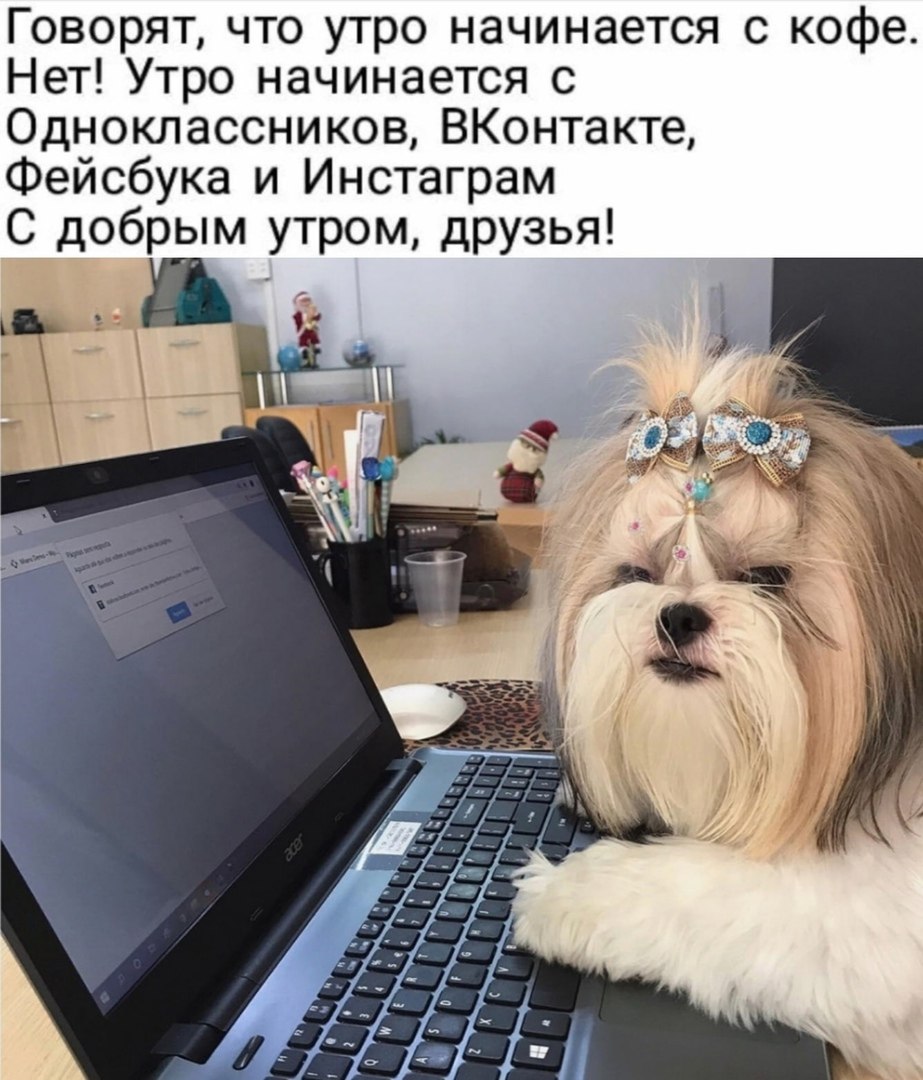 ���� - 29 ������� 2020 � 08:17