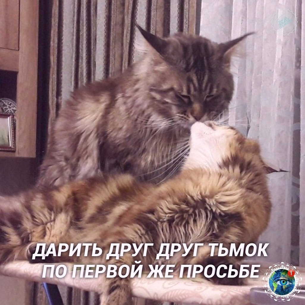 �a� �o� �� �a�a� ����� c�����a�.������� - 3