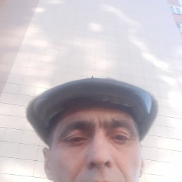 , 53 , 