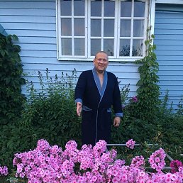 �����, ������, 48 ���