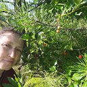  ***L***,   -  16  2021    2021 .