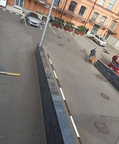 В Москве замечен человек, который не смог выдержать и выбросил новогоднюю ёлку в сентябре