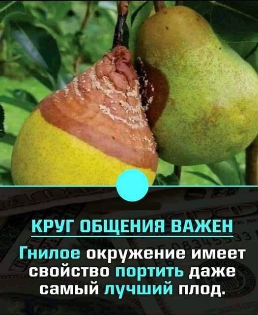   - 19  2021  19:05