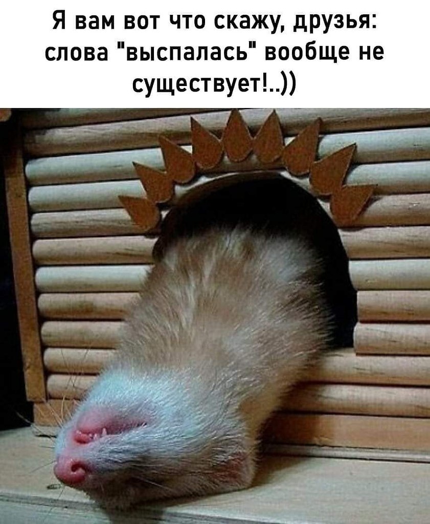  ! - 22  2021  20:03
