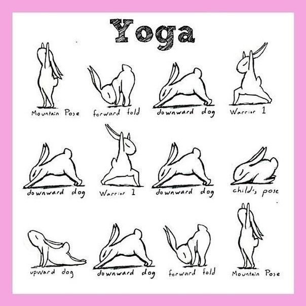  | Yoga - 1  2021  09:00