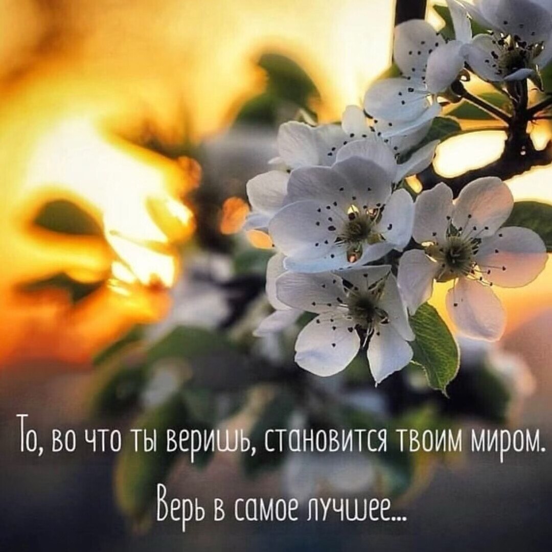 ***Victoria Viktorovna*** - 16 ���� 2021 � 05:42