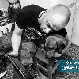 �����, �������, 46 ���