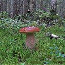 ���� �����, �����-���������, 63 ���� - ��������� 3 �������� 2021 � ������ ������ ��������