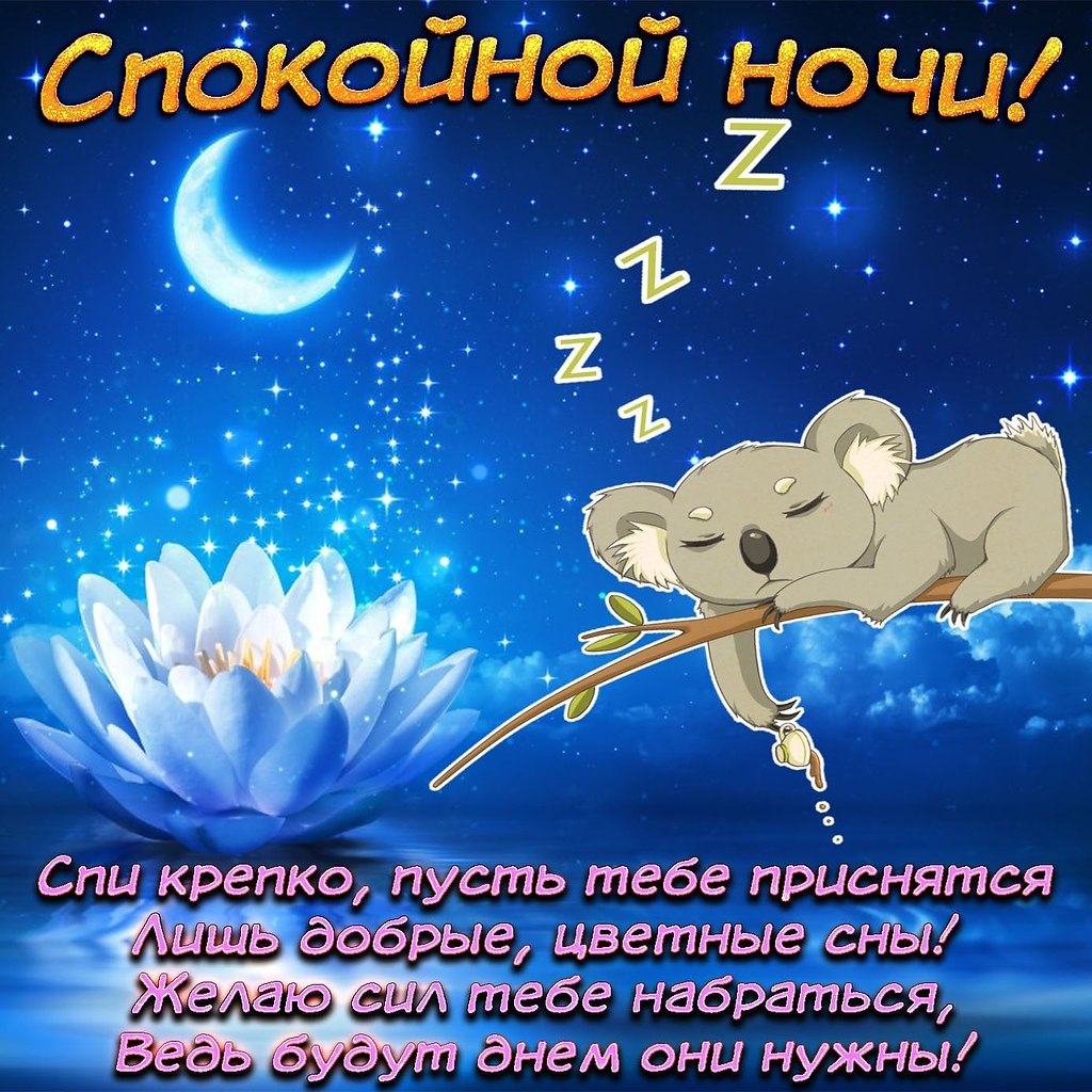   ,    . - 29  2021  22:35 - 8