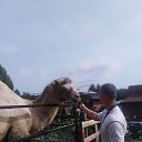 ���� ������, �����, 51 ��� - ��������� 16 ������� 2021 � ������ ���� ����������