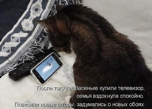    - 10  2021  03:15