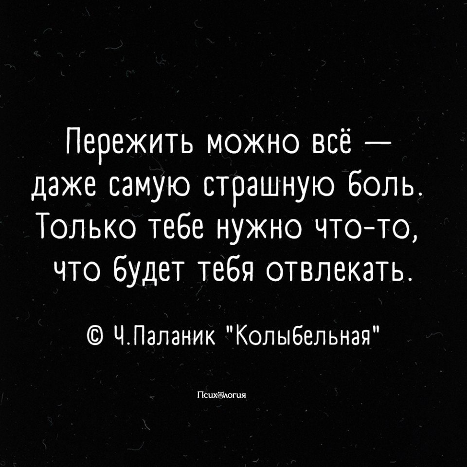  - 8  2021  01:37