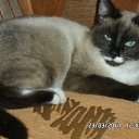 ���� �������, �����, 44 ���� - ��������� 20 ������� 2021 � ������ ���� ����������