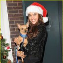 ���� ������ ���������, �����-���������, 54 ���� - ��������� 29 ���� 2021 � ������ ������ ��������