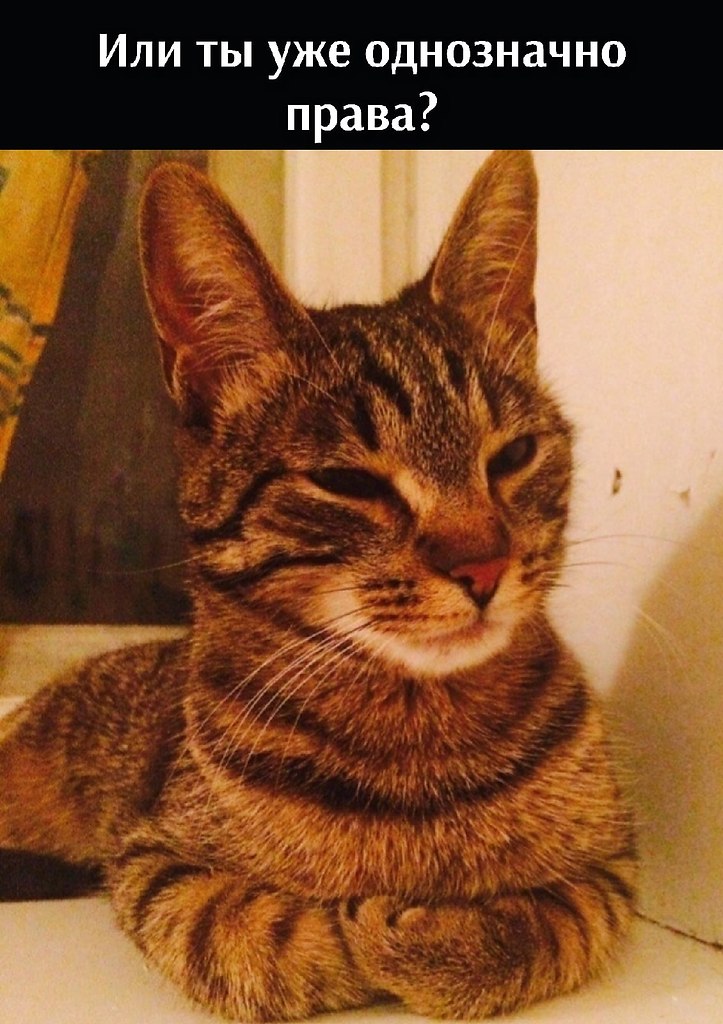       - 8  2022  18:43 - 2