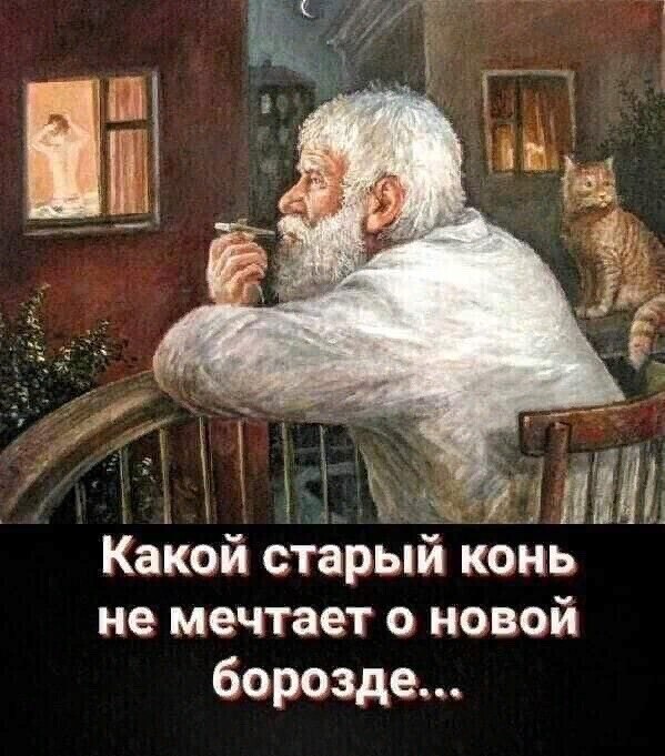   - 6  2021  17:46