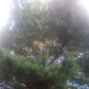 ���� Haver Santa, ���������� ����� - ��������� 28 ���� 2021 � ������ �:)�