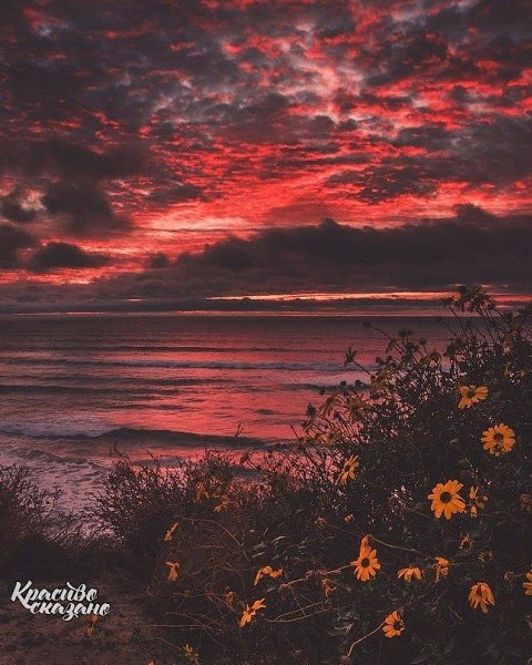 3аберите меня на море с такими закатами, пожалуйста. - 4