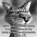 ���� ������, ��������, 54 ���� - ��������� 19 ������� 2021 � ������ ������ ��������