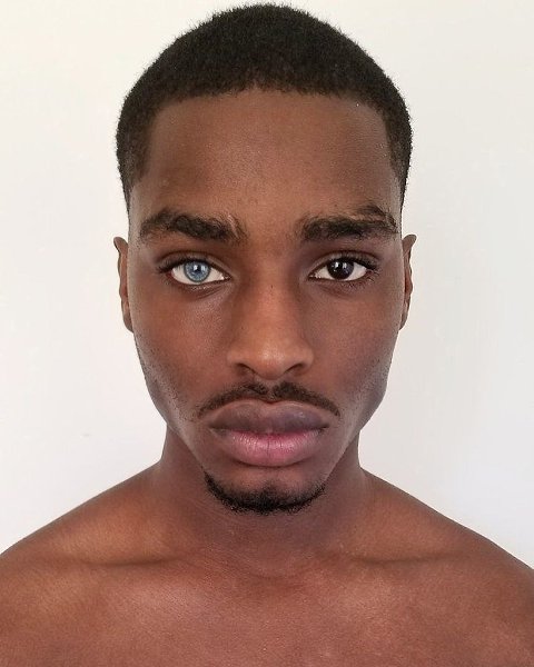    - - 5