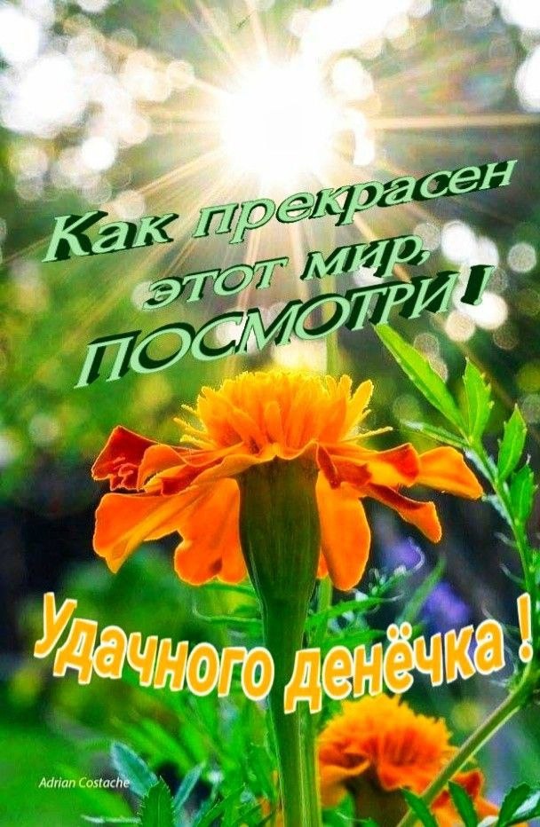   ,    . - 4  2021  23:31 - 5