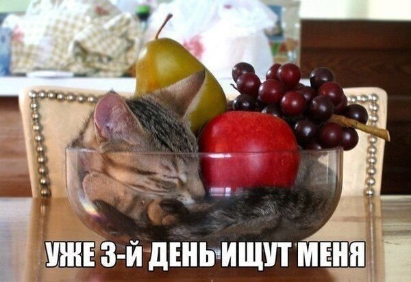    - 13  2021  13:23