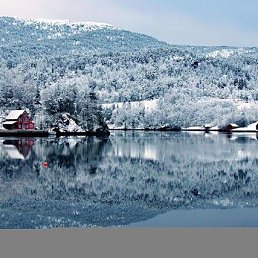 �������, ��������, 53 ����