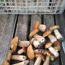 ���� �����, ������, 59 ��� - ��������� 27 ������� 2021