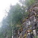 ���� ������, �����, 60 ��� - ��������� 29 ���� 2021 � ������ ������ ��������