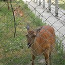 ���� ������, �����-��������� - ��������� 19 ������� 2021 � ������ �...�