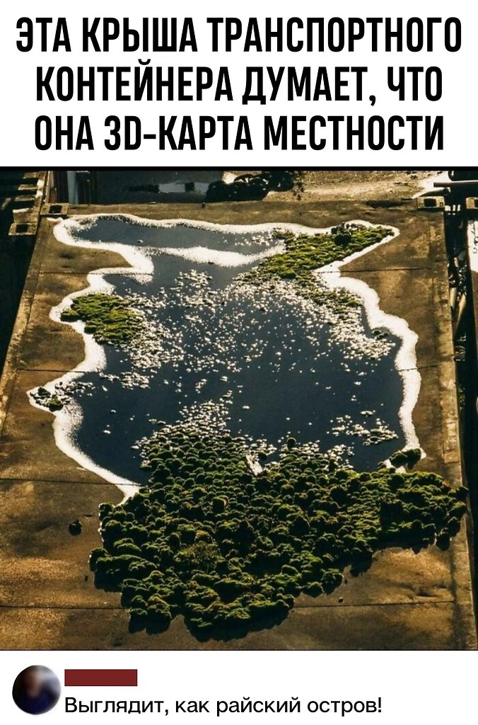   -   - 13  2021  08:33