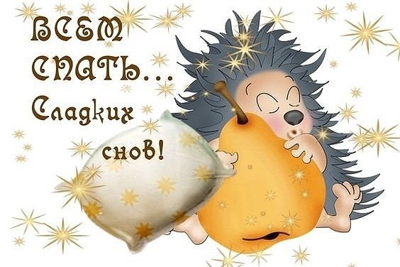   ,    . - 27  2021  21:42 - 10