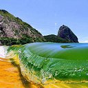  ••,  -  12  2021    ߻