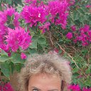 ���� �����, ������ - ��������� 23 ���� 2021 � ������ ���� ����������