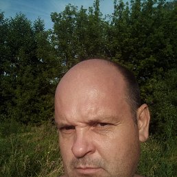 , 46, 