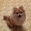 ���� �������, �������, 43 ���� - ��������� 15 ������ 2021 � ������ ���� ����������