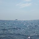 ���� Bojenochca, ���� - ��������� 10 ���� 2021 � ������ ���� ����������