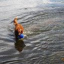 ���� ��������, Kouvola, 78 ��� - ��������� 16 ��� 2021 � ������ ������ � ������ ������...�