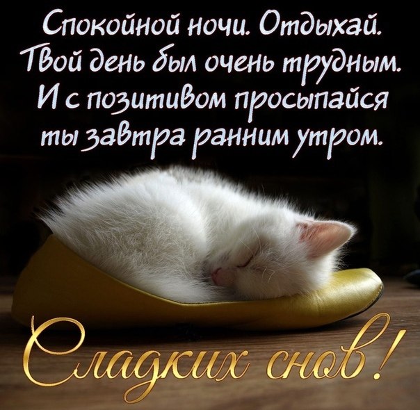  ,    . - 29  2021  20:31 - 2