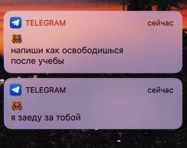 ,     : - 7