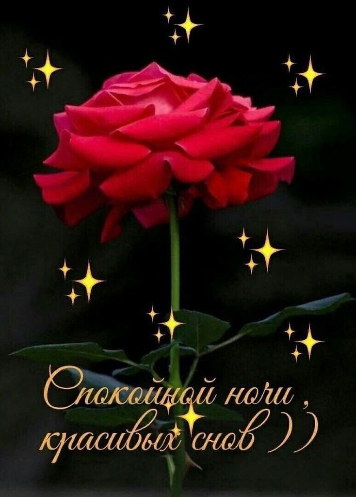   ,    . - 20  2021  23:07