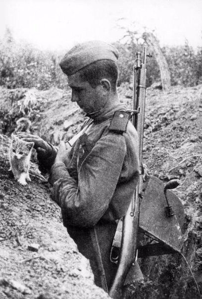   . 1944 .