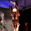  , , 50  -  23  2021    Body Worlds.  