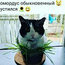 ���� �����, ����� - ��������� 15 ������� 2021 � ������ ������ ��������