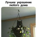 ���� �����, ����� - ��������� 15 ������� 2021 � ������ ������ ��������