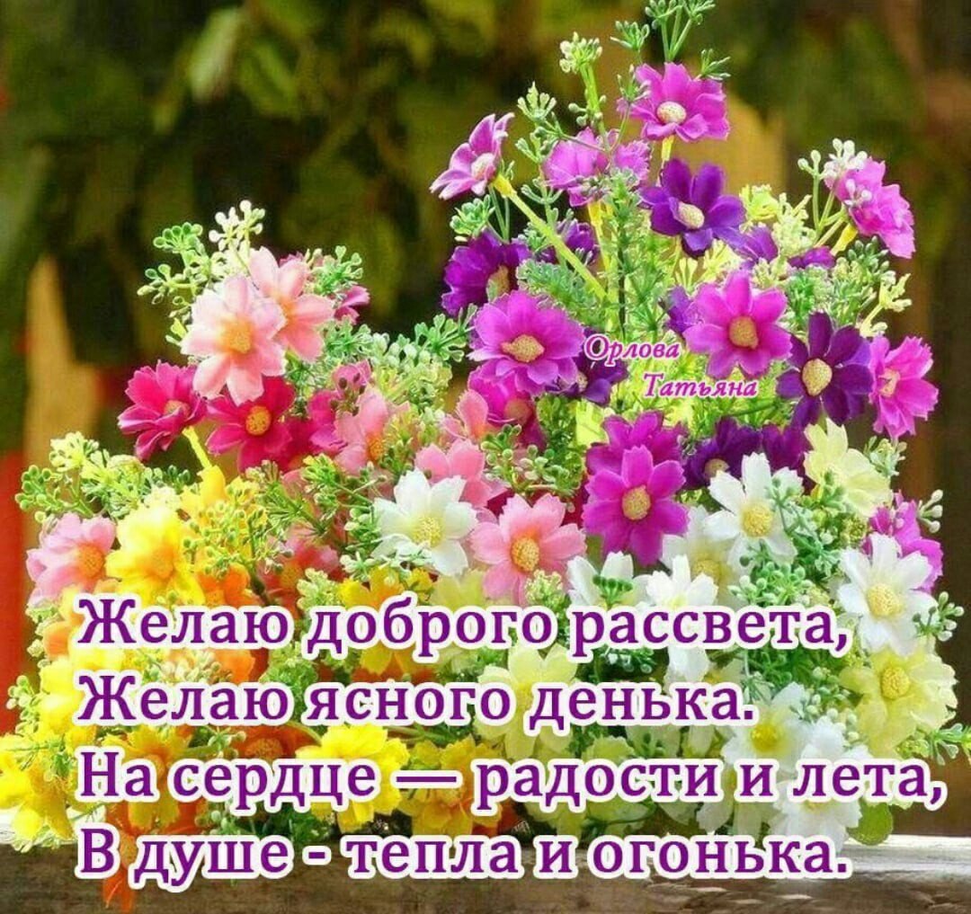 ПРИВЕТСТВИЯ и ПОЖЕЛАНИЯ, открытки на каждый день. опубликовал пост от 28  августа 2021 в 14:58 | Фотострана | Пост №2367104389