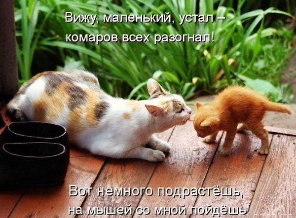    - 27  2021  02:44