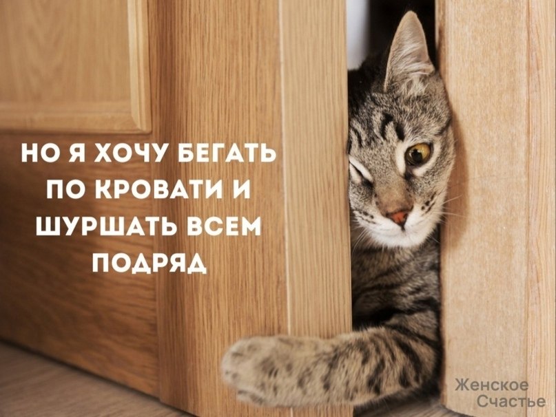    - 2